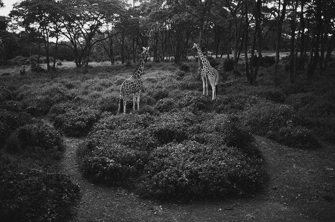 NAIROBI_2011-011 NAIROBI