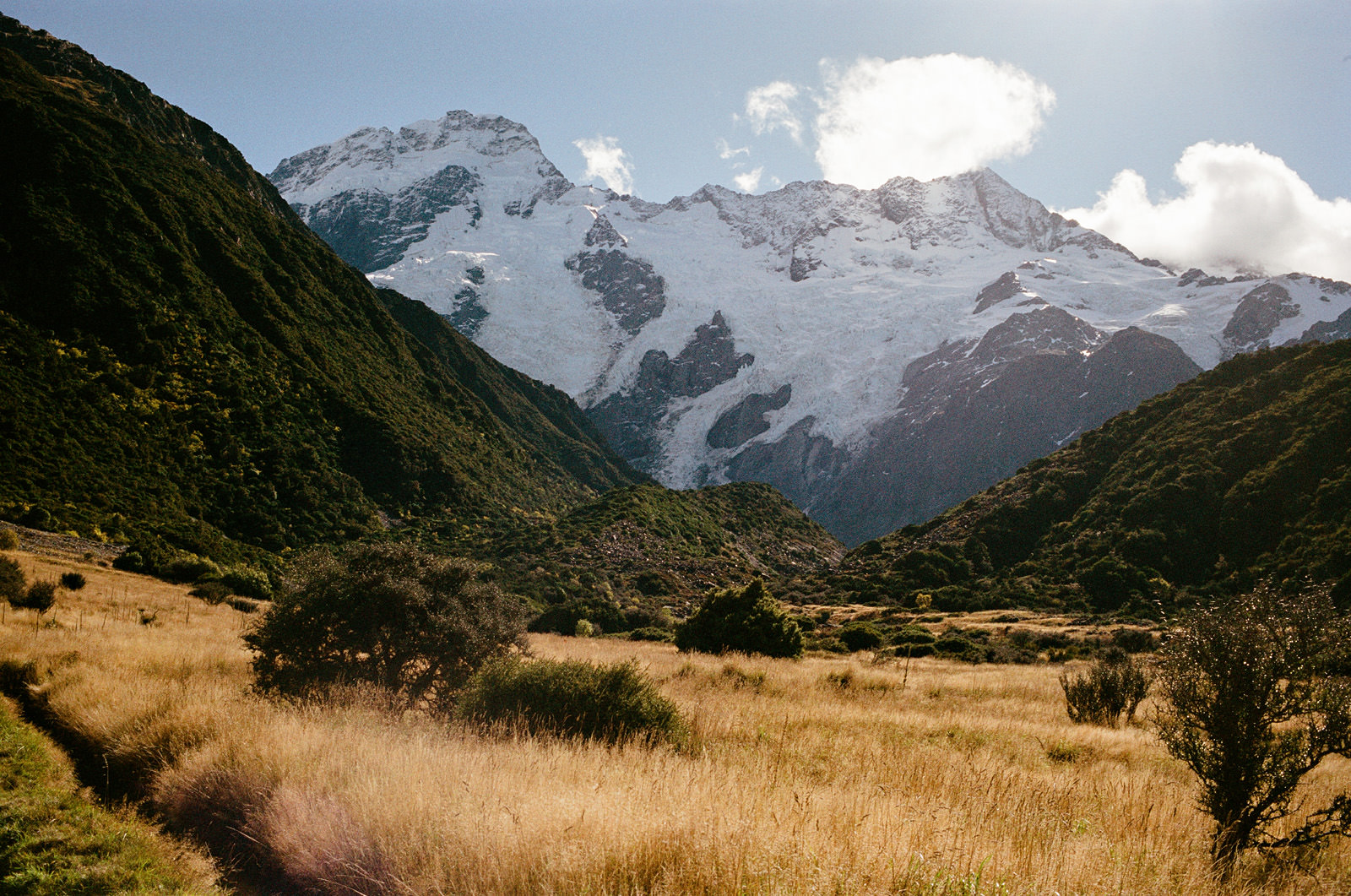 nz-370 NEW ZEALAND