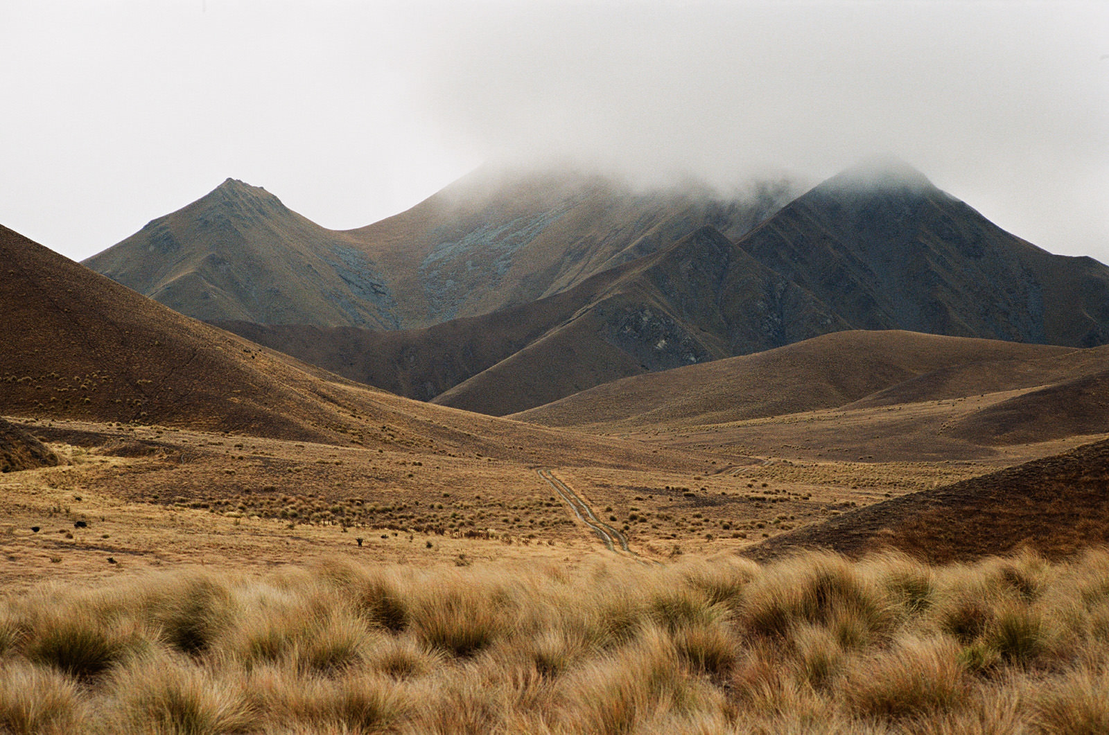 nz-639 NEW ZEALAND