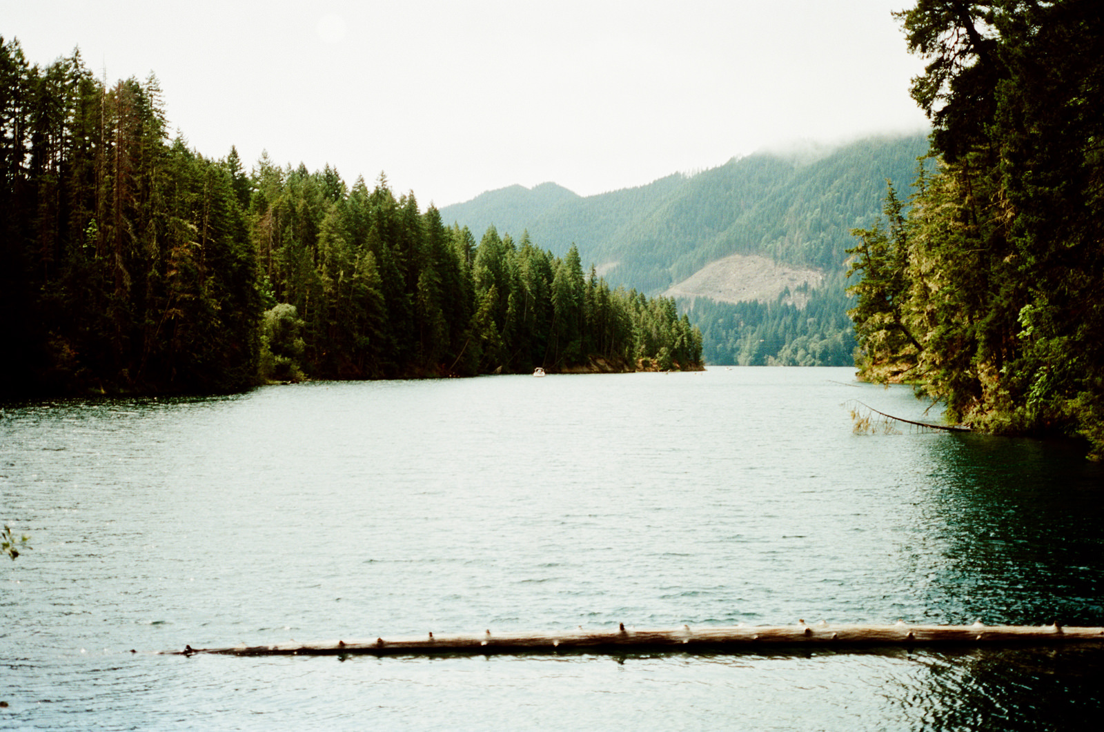 zanny-noah-001 LAKE CUSHMAN WEDDING