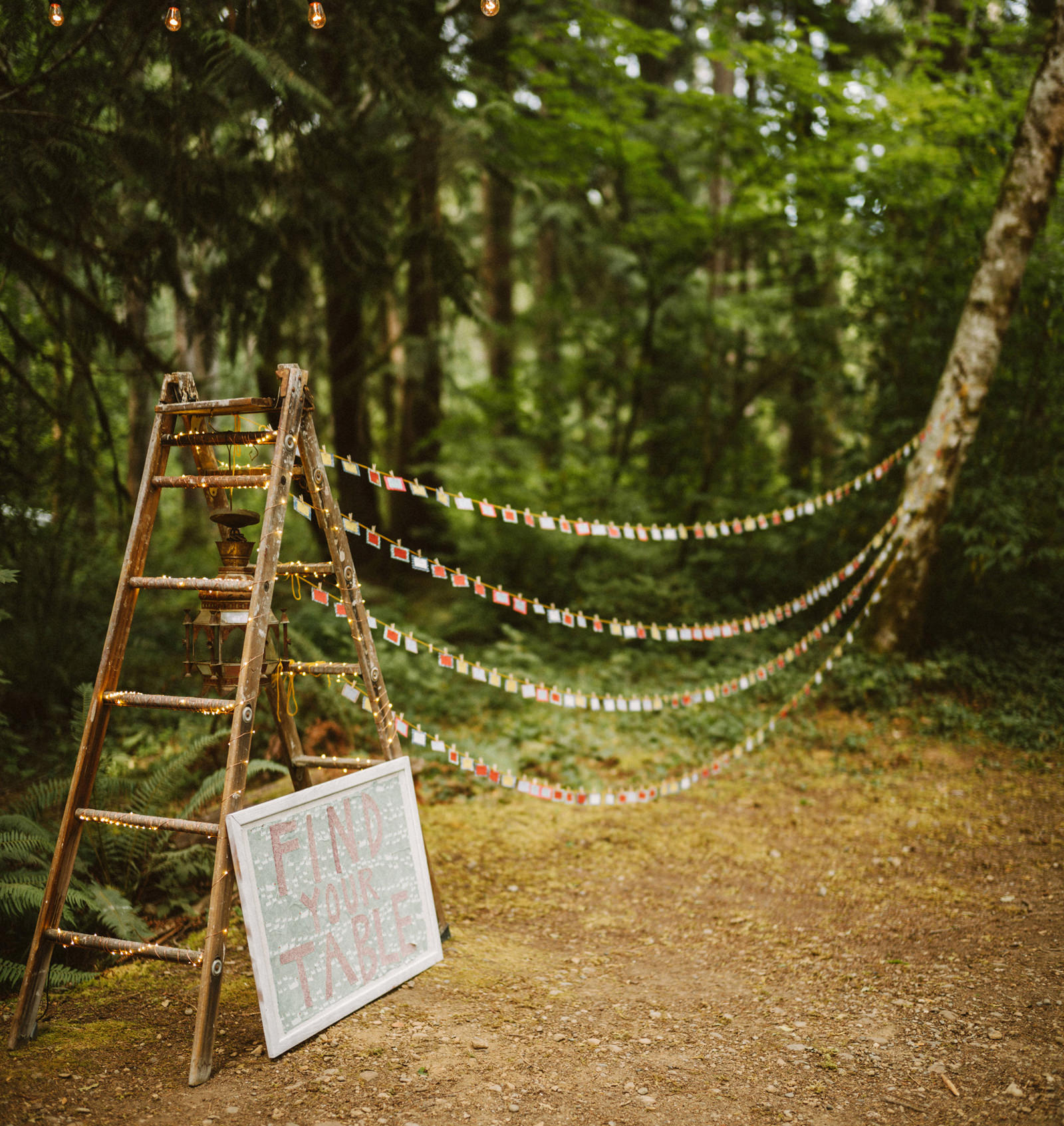 zanny-noah-096 LAKE CUSHMAN WEDDING